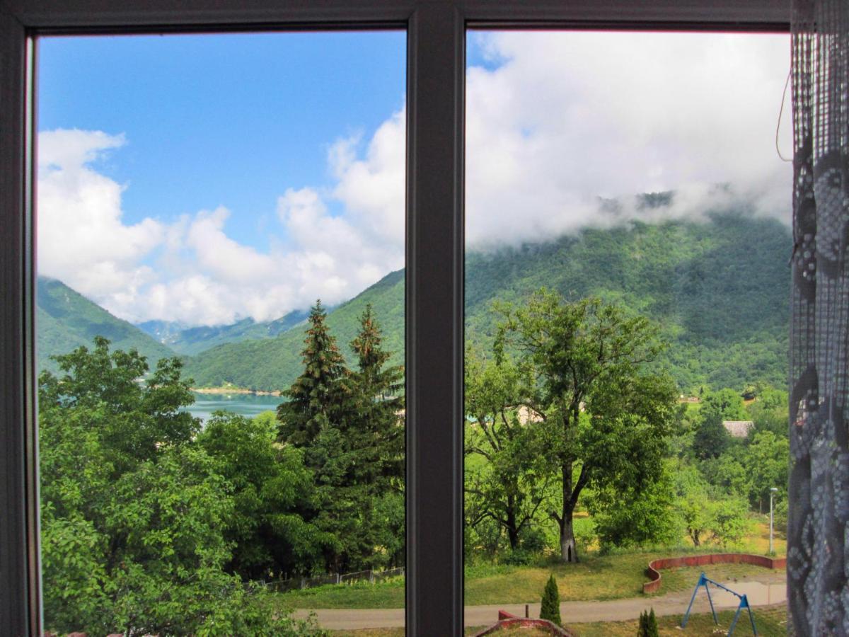 Guesthouse Mirkovic Pluzine Bagian luar foto