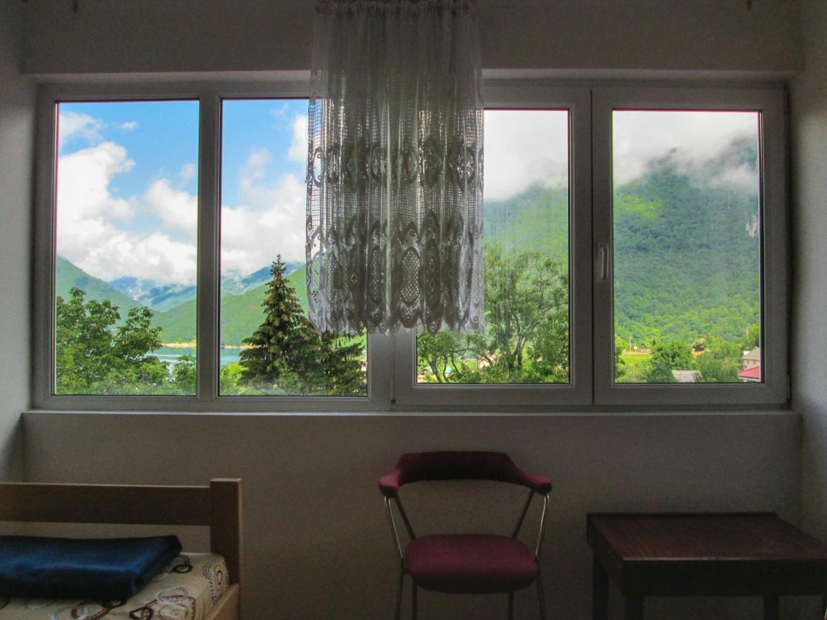 Guesthouse Mirkovic Pluzine Bagian luar foto