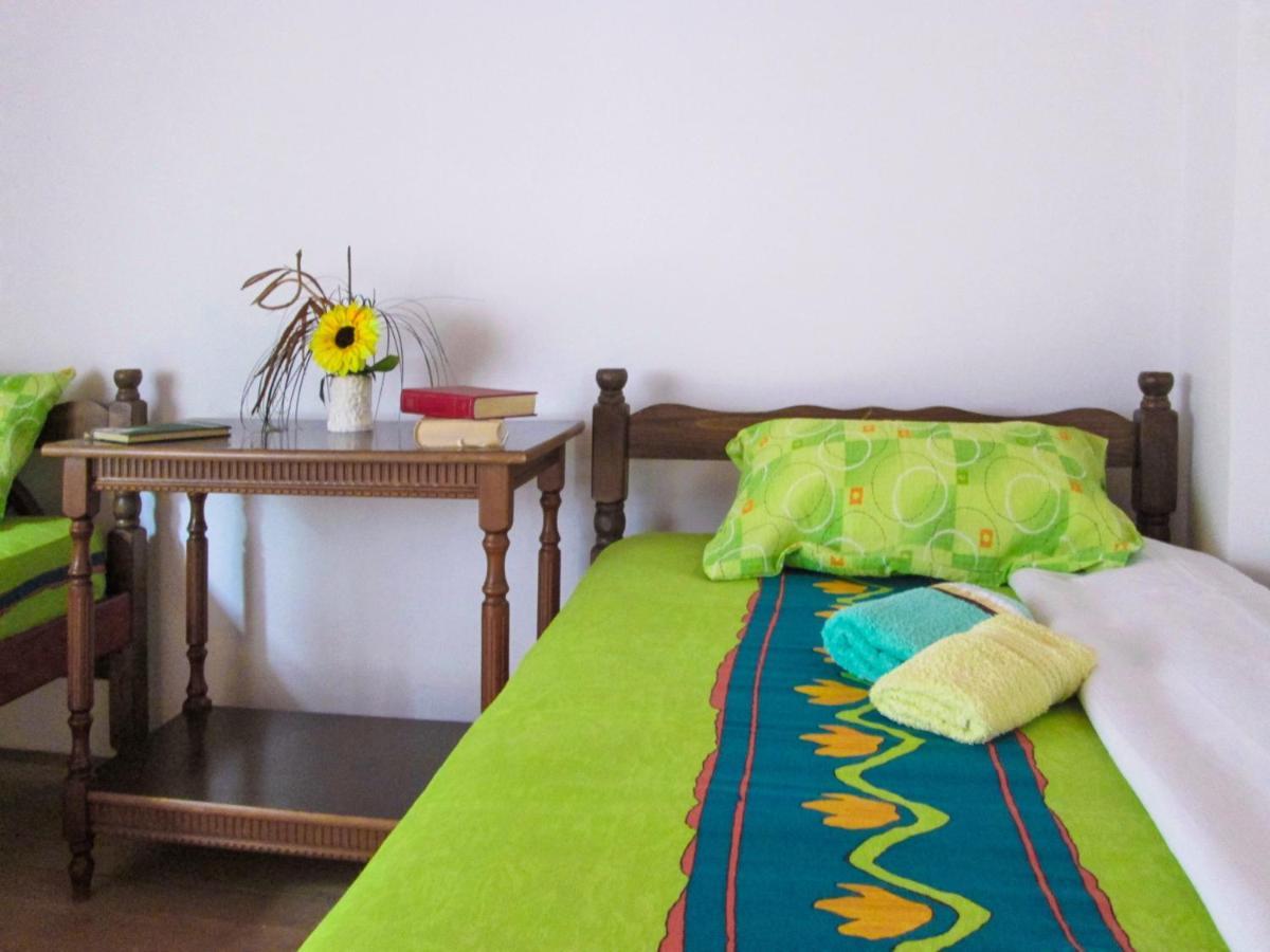 Guesthouse Mirkovic Pluzine Bagian luar foto