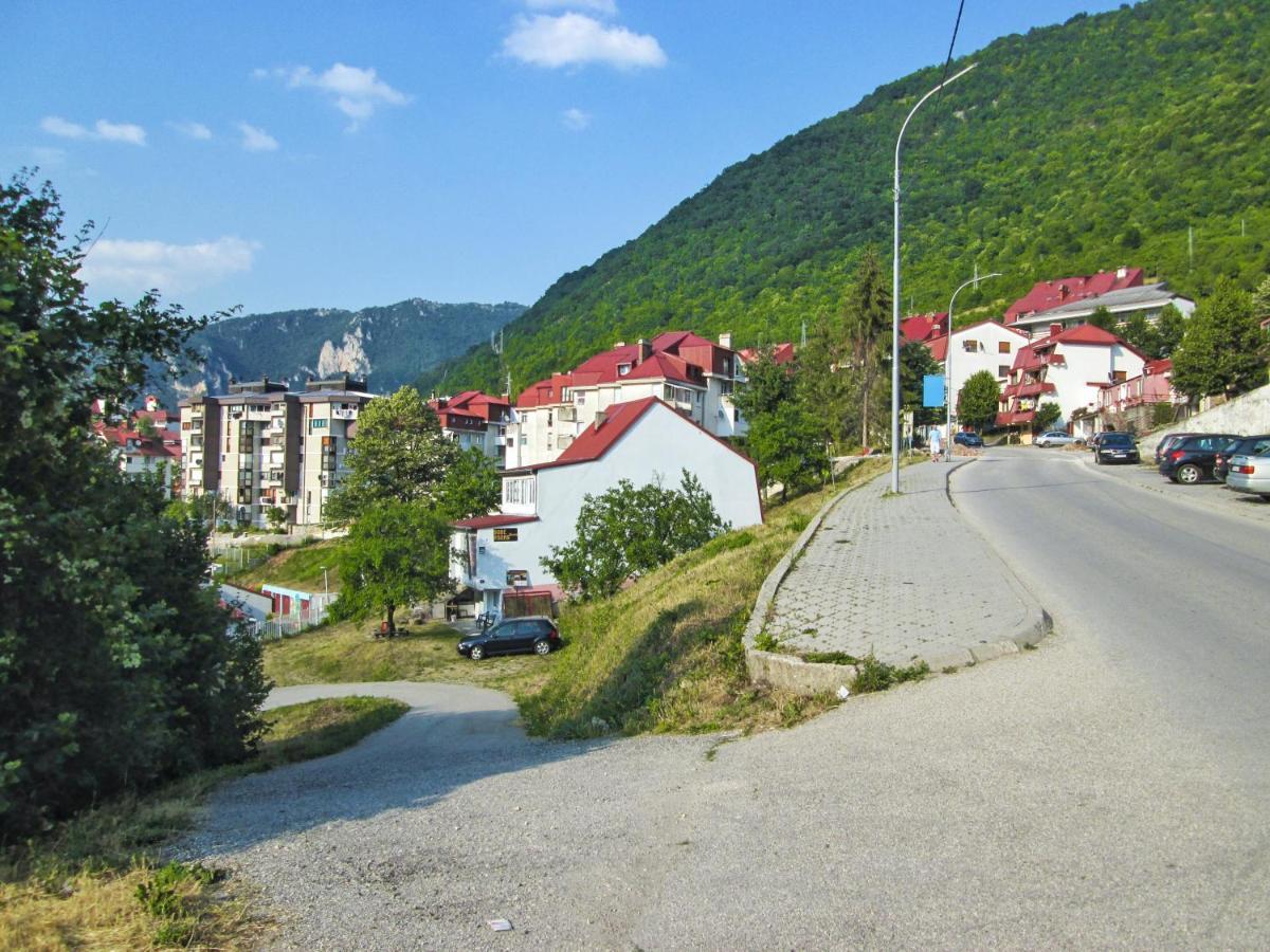 Guesthouse Mirkovic Pluzine Bagian luar foto