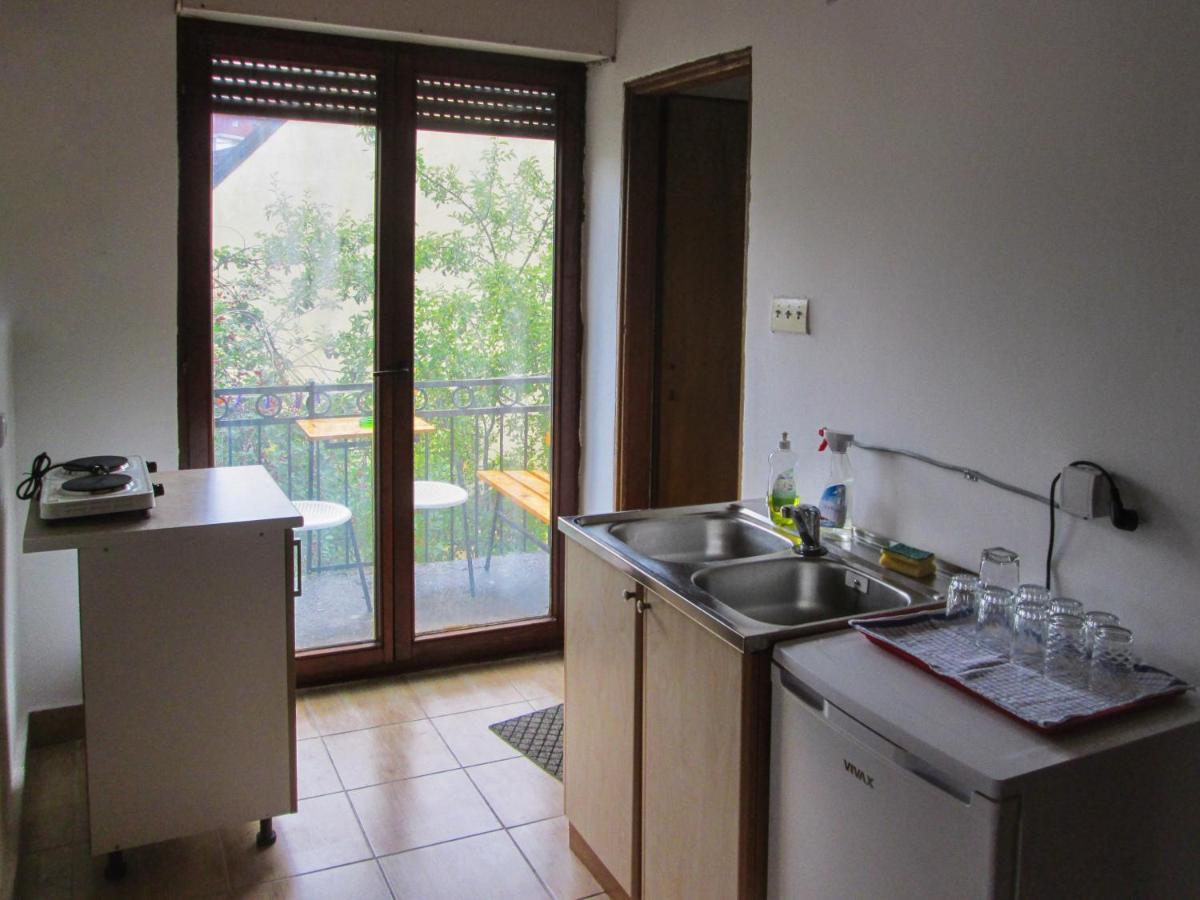 Guesthouse Mirkovic Pluzine Bagian luar foto