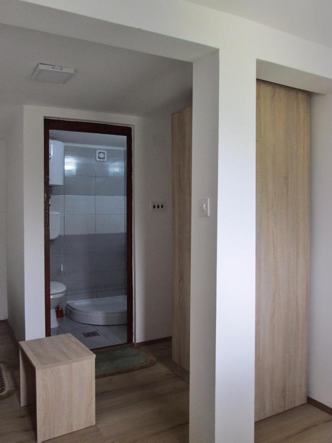 Guesthouse Mirkovic Pluzine Bagian luar foto