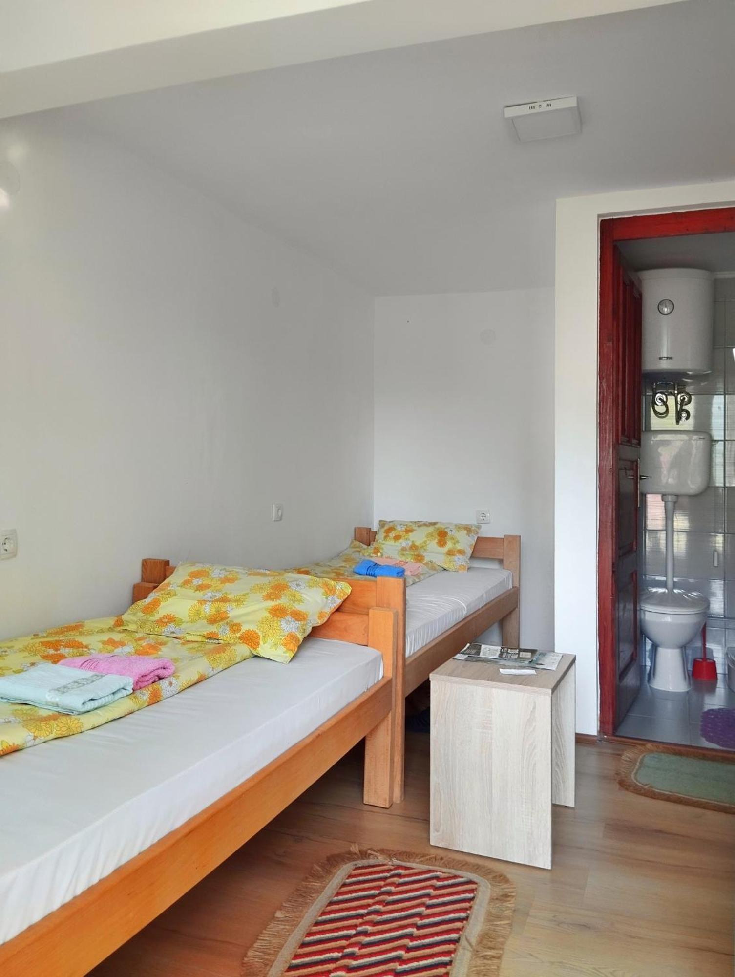 Guesthouse Mirkovic Pluzine Bagian luar foto