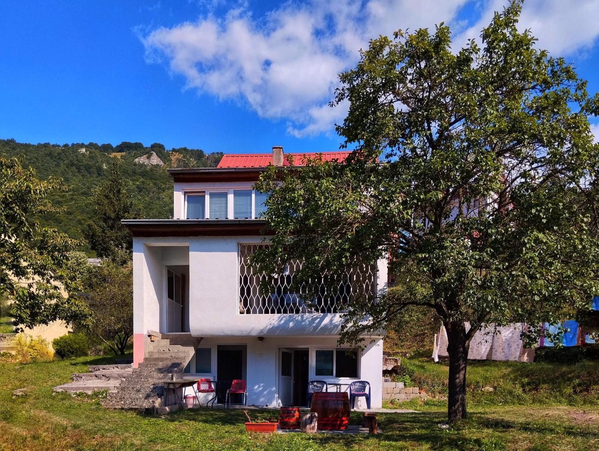 Guesthouse Mirkovic Pluzine Bagian luar foto