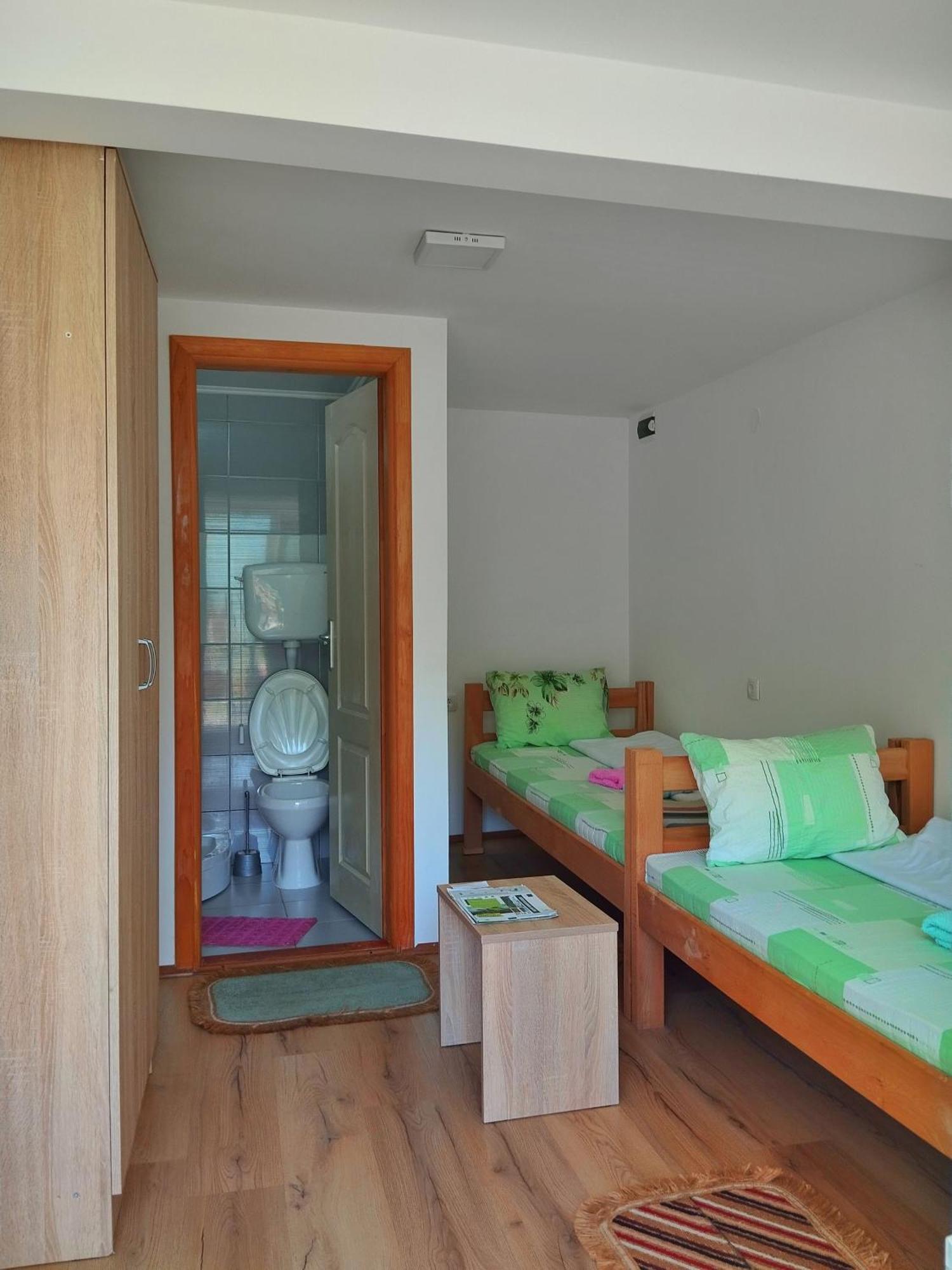 Guesthouse Mirkovic Pluzine Bagian luar foto