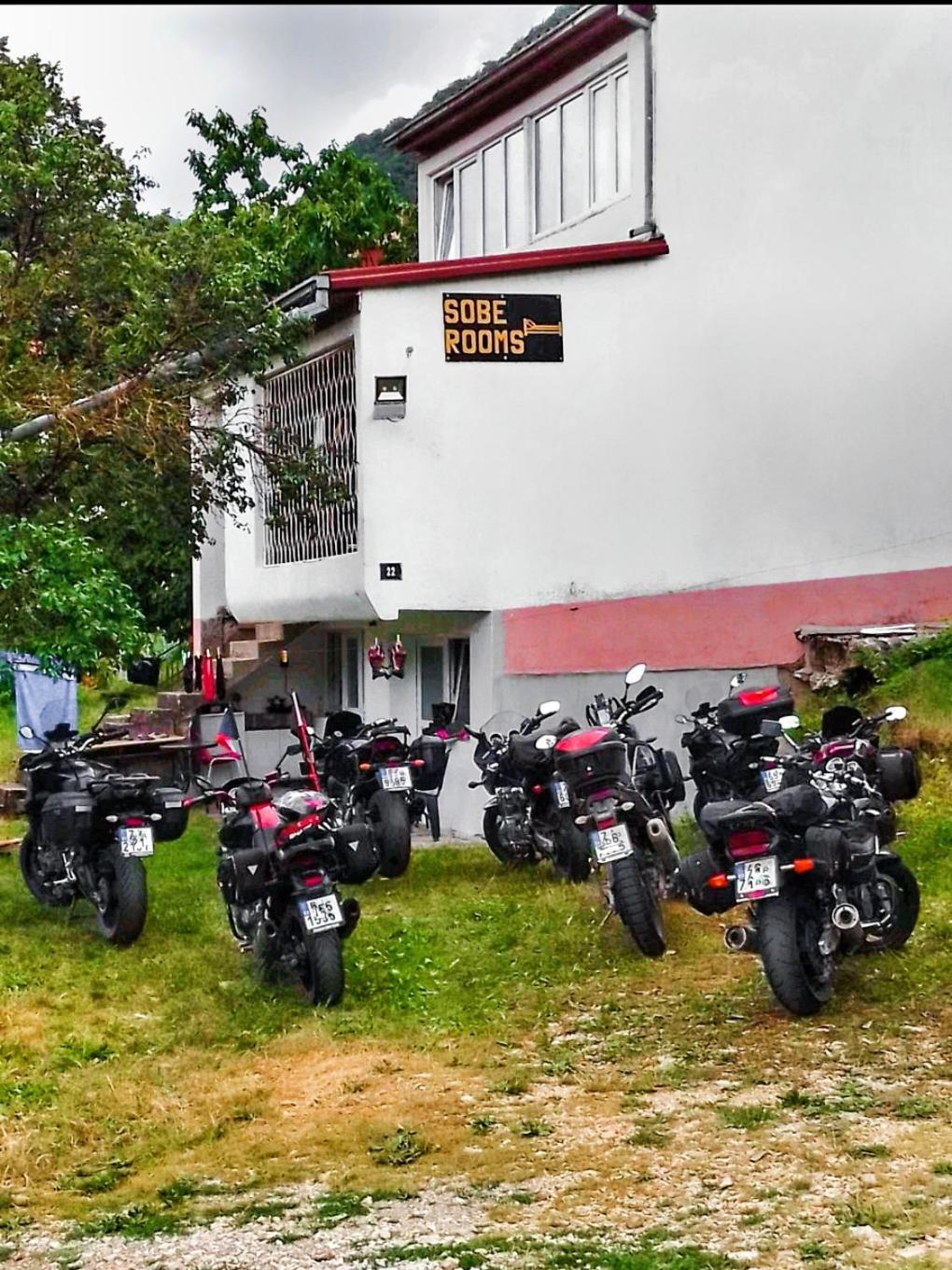 Guesthouse Mirkovic Pluzine Bagian luar foto