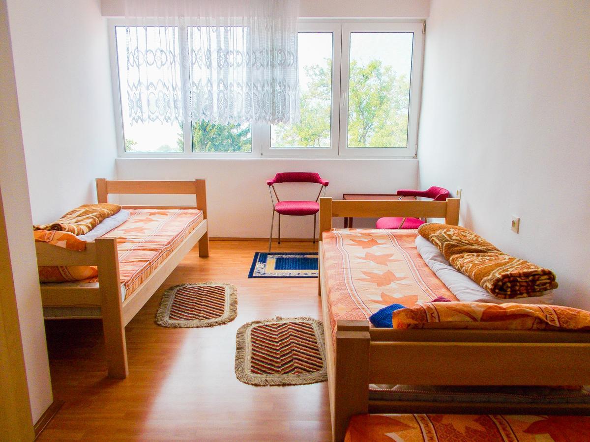 Guesthouse Mirkovic Pluzine Bagian luar foto