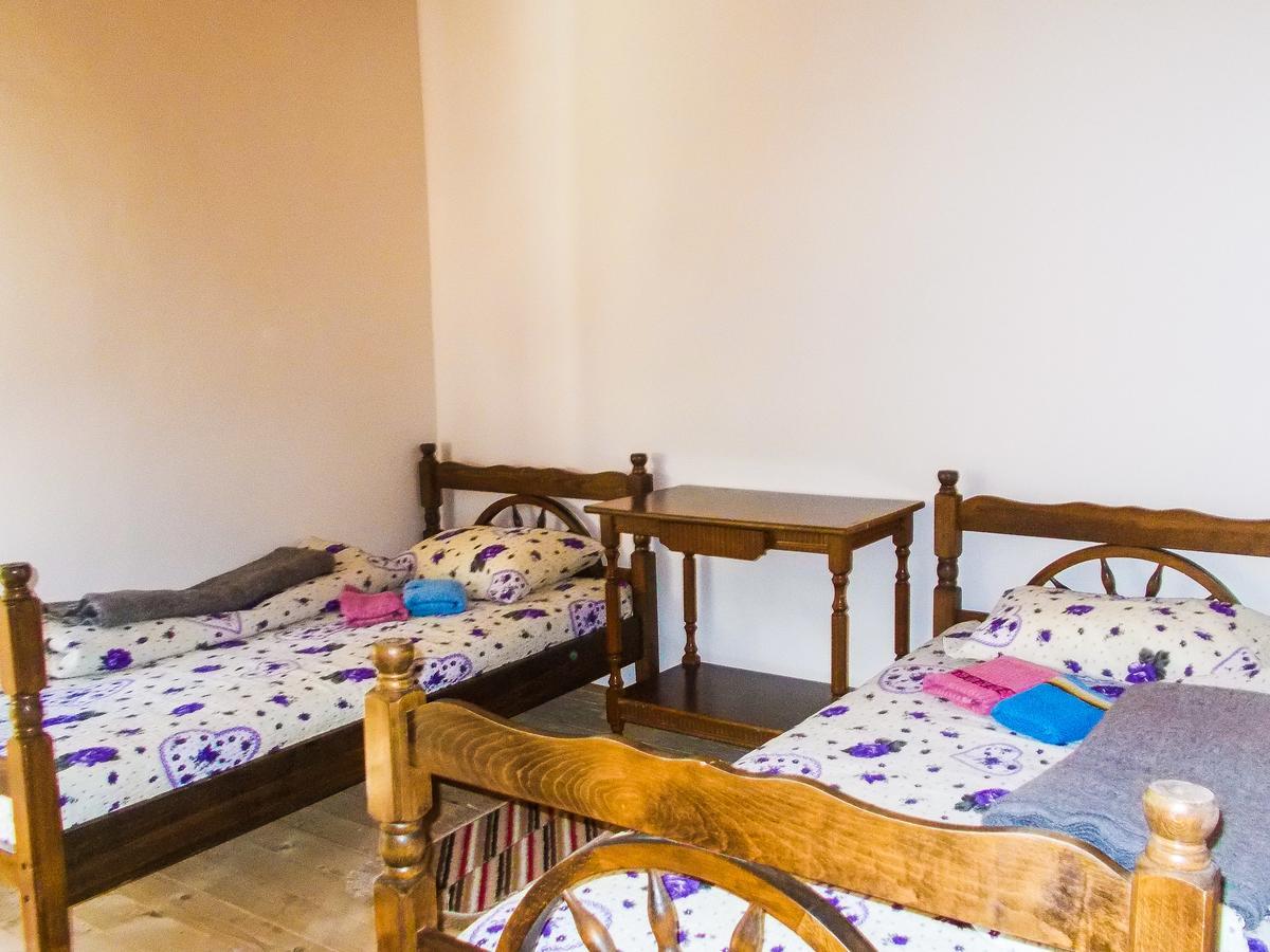 Guesthouse Mirkovic Pluzine Bagian luar foto