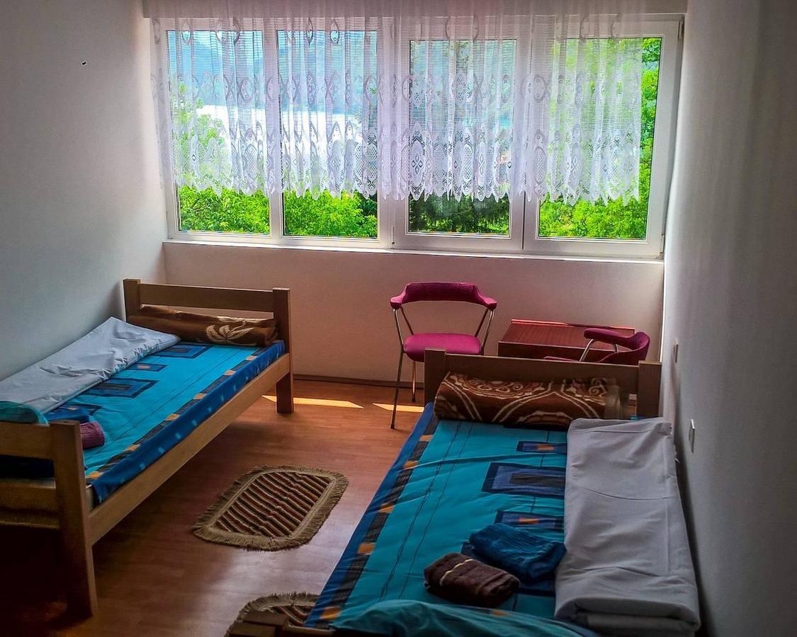 Guesthouse Mirkovic Pluzine Bagian luar foto
