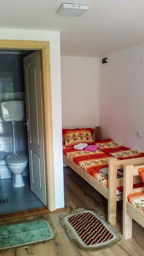 Guesthouse Mirkovic Pluzine Bagian luar foto