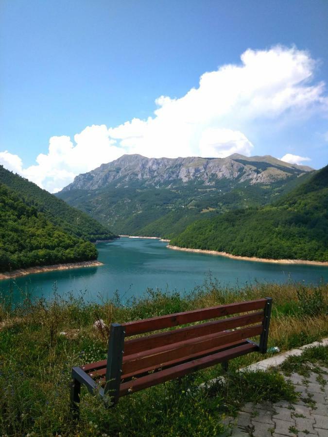 Guesthouse Mirkovic Pluzine Bagian luar foto