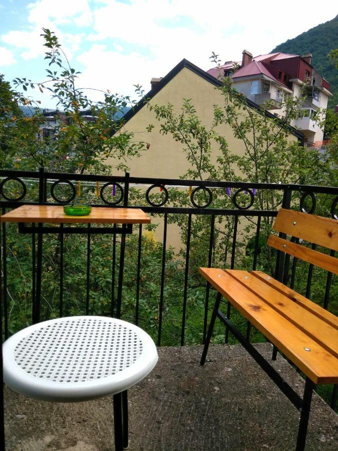 Guesthouse Mirkovic Pluzine Bagian luar foto